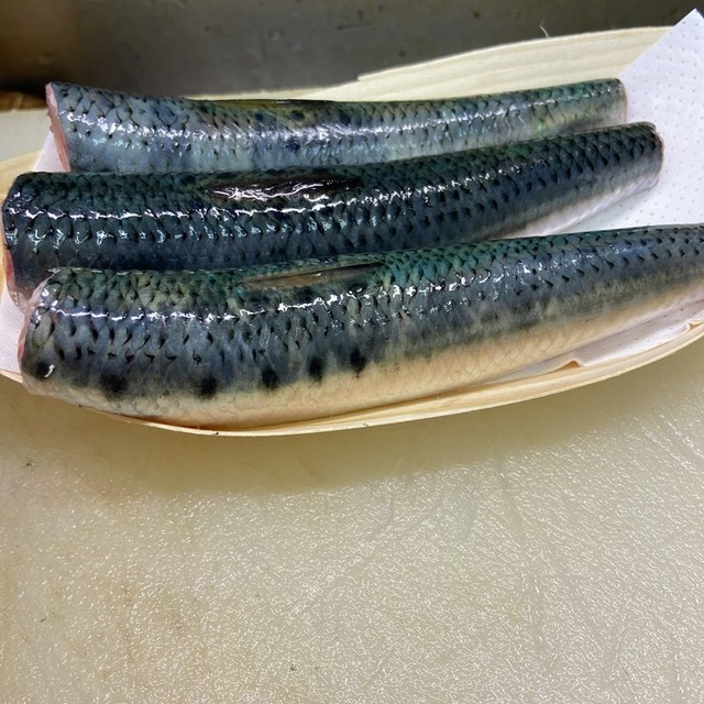 相模湾のまいわし（真鰯） | 海鮮市場マルモト